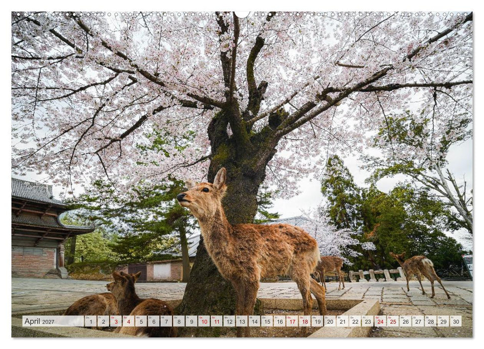 Japans wundervolle Kirschblüte (CALVENDO Premium Wandkalender 2027)