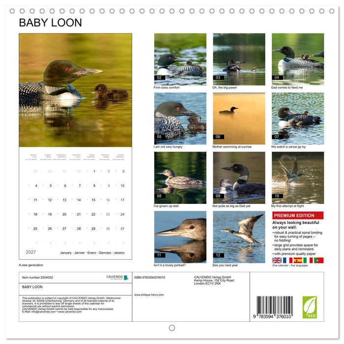BABY LOON (CALVENDO Monthly Calendar 2027)