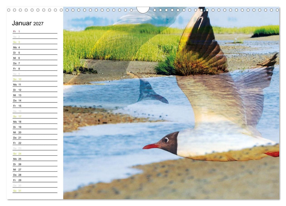 Fanø - Mit künstlerischem Auge betrachtet (CALVENDO Wandkalender 2027)