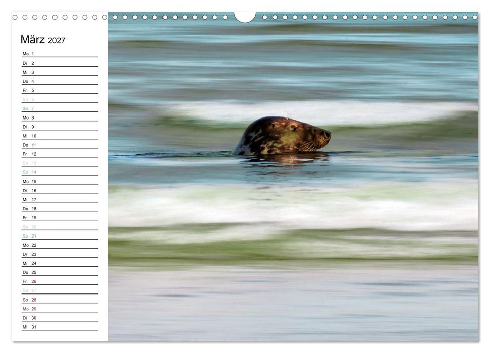 Fanø - Mit künstlerischem Auge betrachtet (CALVENDO Wandkalender 2027)