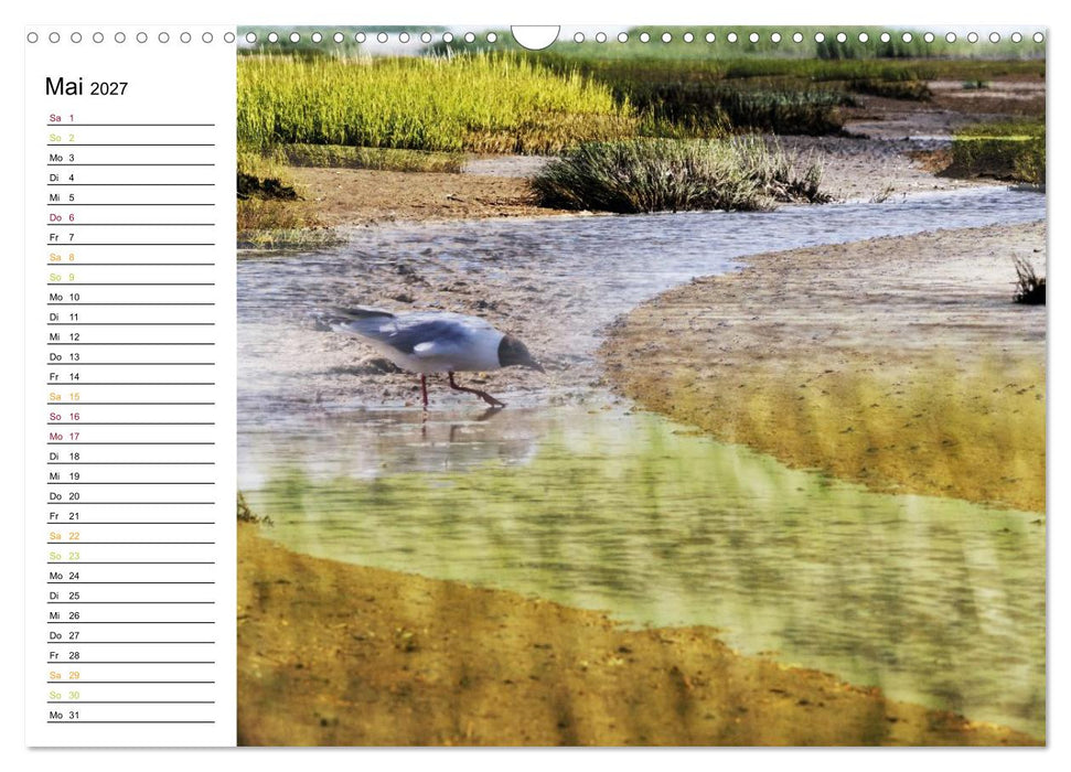 Fanø - Mit künstlerischem Auge betrachtet (CALVENDO Wandkalender 2027)