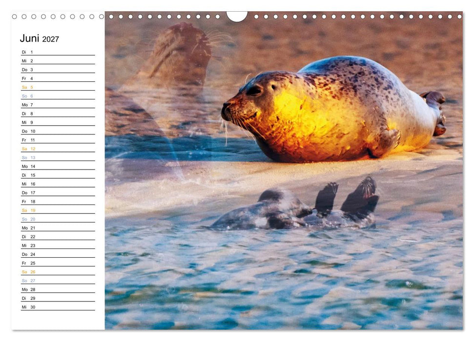 Fanø - Mit künstlerischem Auge betrachtet (CALVENDO Wandkalender 2027)