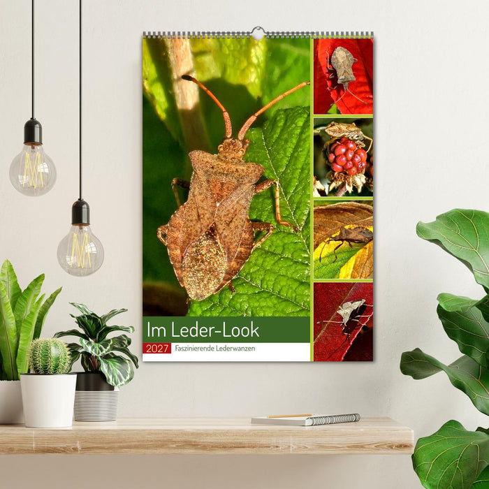 Im Leder-Look - Faszinierende Lederwanzen (CALVENDO Wandkalender 2027)