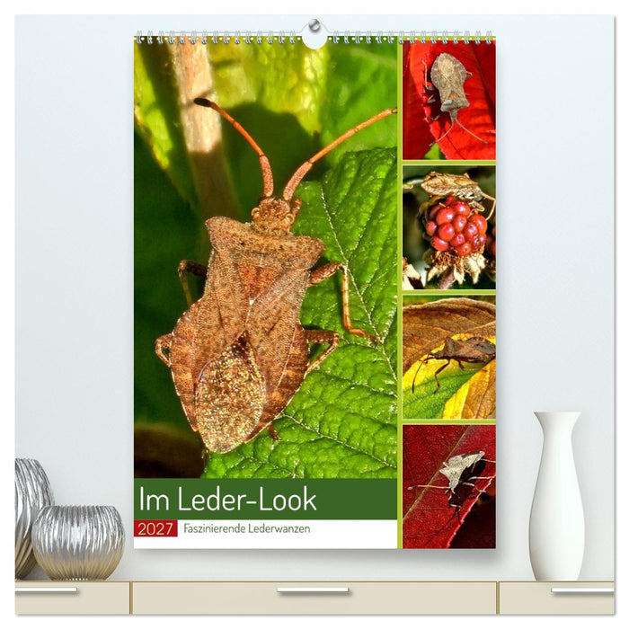 Im Leder-Look - Faszinierende Lederwanzen (CALVENDO Premium Wandkalender 2027)