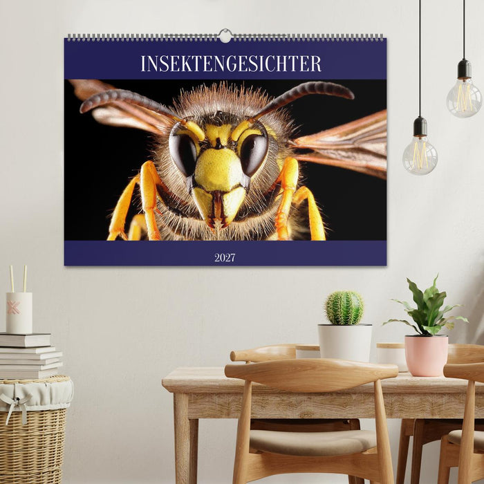INSEKTENGESICHTER (CALVENDO Wandkalender 2027)