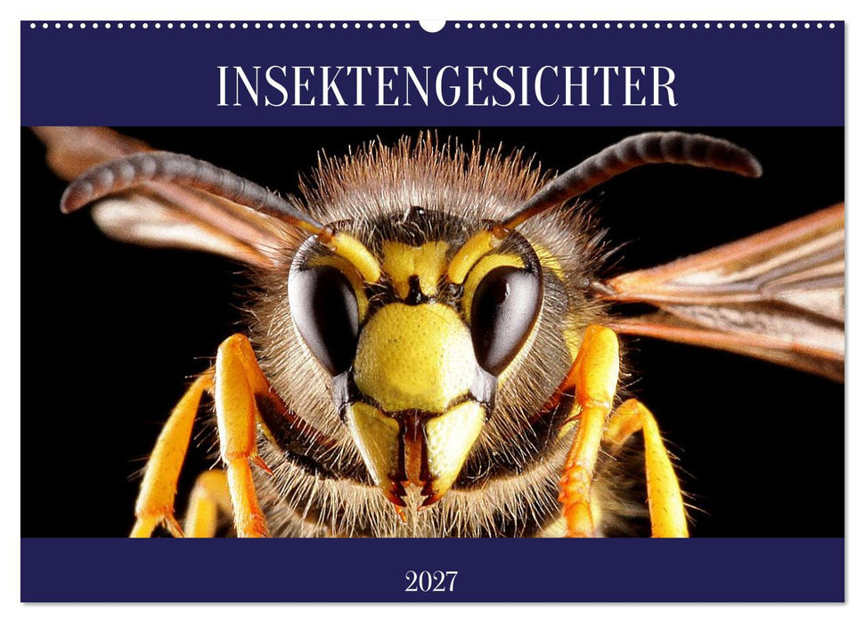 INSEKTENGESICHTER (CALVENDO Wandkalender 2027)
