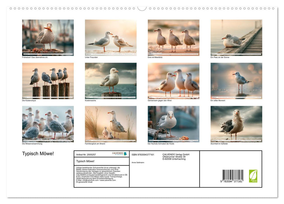 Typisch Möwe! (CALVENDO Premium Wandkalender 2027)