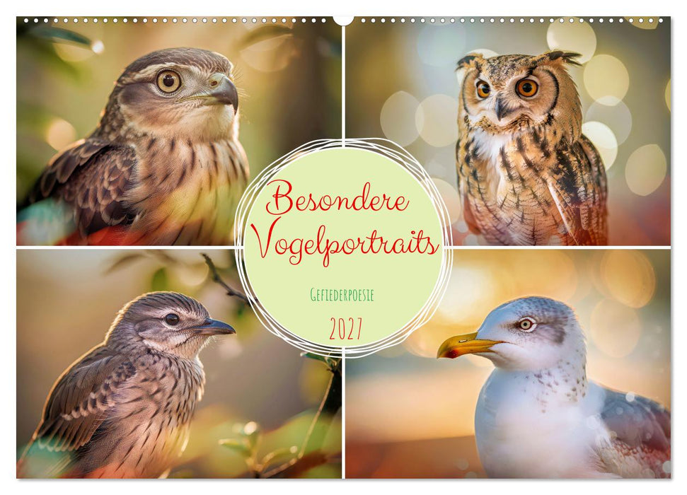 Besondere Vogelportraits (CALVENDO Wandkalender 2027)