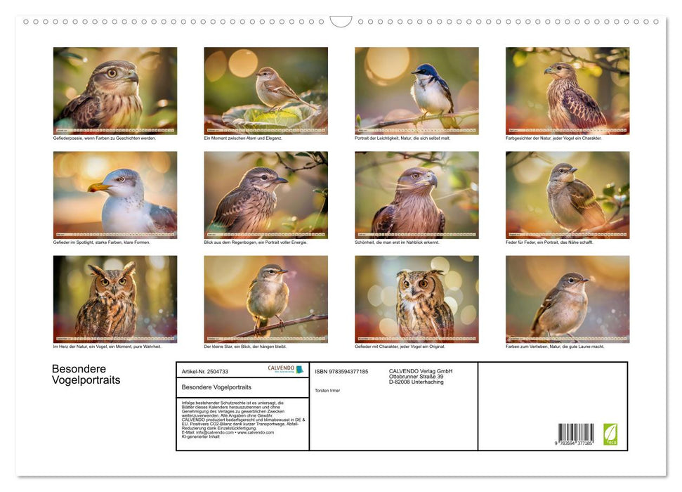 Besondere Vogelportraits (CALVENDO Wandkalender 2027)