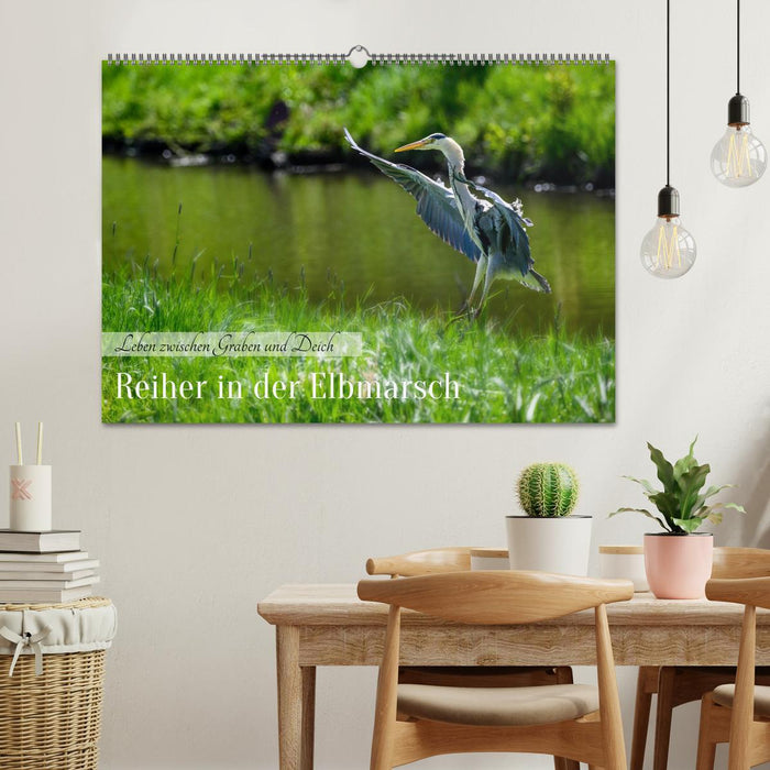 Reiher in der Elbmarsch (CALVENDO Wandkalender 2027)