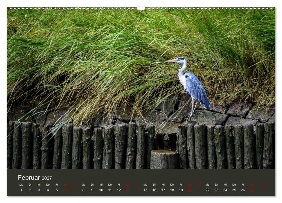 Reiher in der Elbmarsch (CALVENDO Wandkalender 2027)