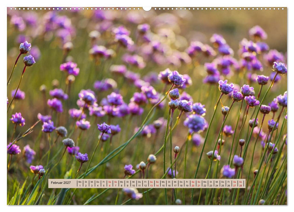 Nebel, Licht und Wunder (CALVENDO Premium Wandkalender 2027)