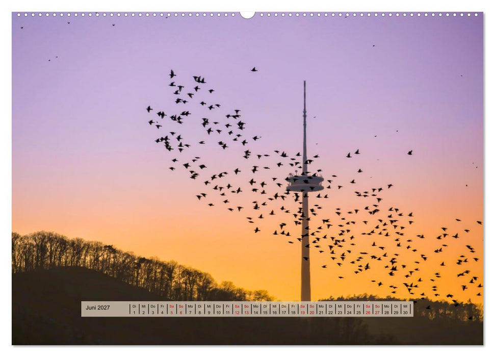 Nebel, Licht und Wunder (CALVENDO Premium Wandkalender 2027)