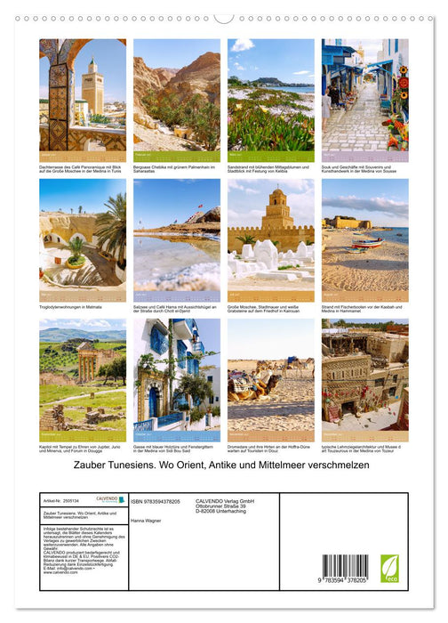 Zauber Tunesiens. Wo Orient, Antike und Mittelmeer verschmelzen (CALVENDO Premium Wandkalender 2027)