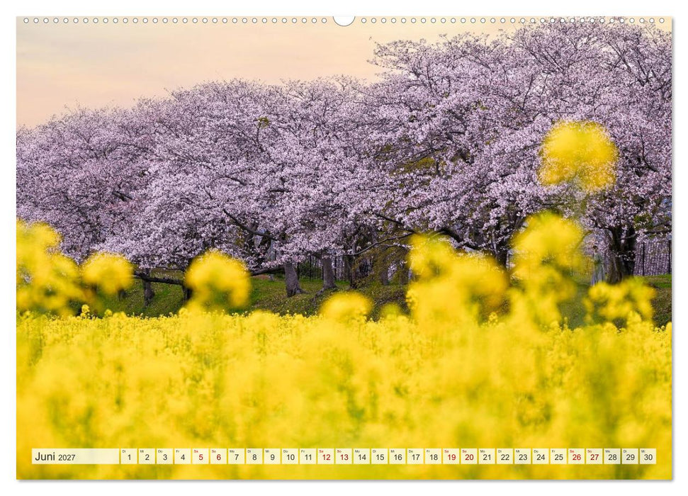 Japans wundervolle Kirschblüte (CALVENDO Wandkalender 2027)