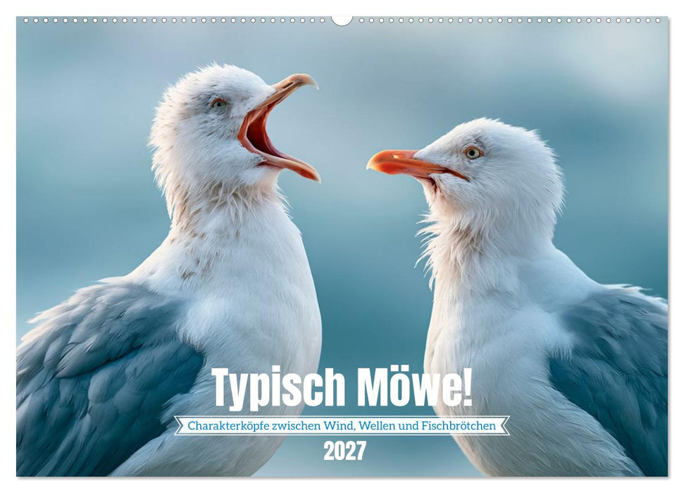 Typisch Möwe! (CALVENDO Wandkalender 2027)