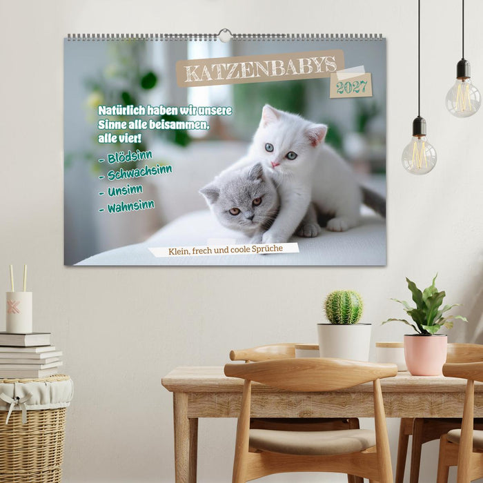 Katzenbabys - Klein, frech und coole Sprüche (CALVENDO Wandkalender 2027)
