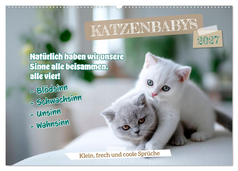 Katzenbabys - Klein, frech und coole Sprüche (CALVENDO Wandkalender 2027)
