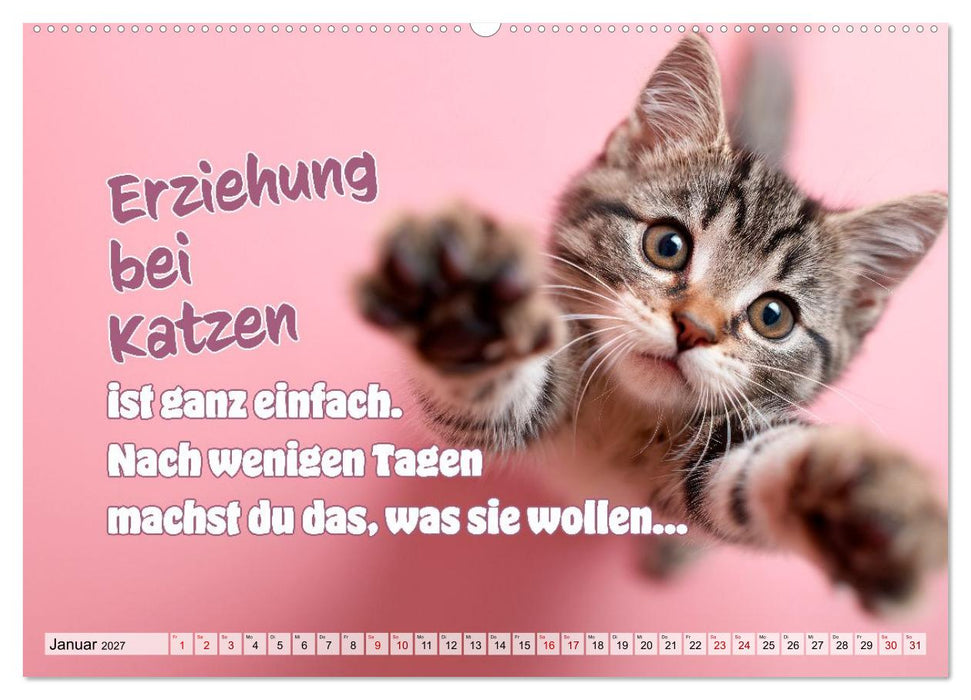 Katzenbabys - Klein, frech und coole Sprüche (CALVENDO Wandkalender 2027)