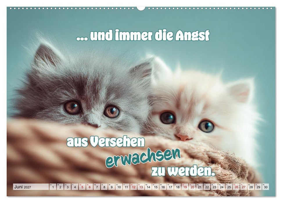 Katzenbabys - Klein, frech und coole Sprüche (CALVENDO Wandkalender 2027)