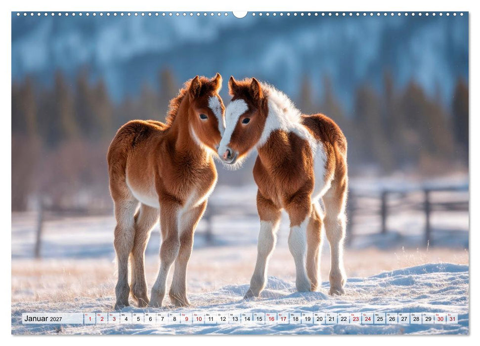 Bauernhofbabys - Tierische Lieblinge vom Land (CALVENDO Wandkalender 2027)