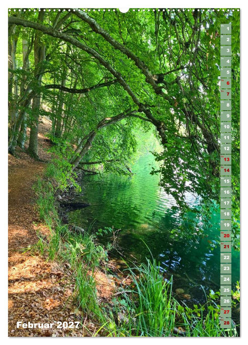 Feldberg Wanderung (CALVENDO Wandkalender 2027)