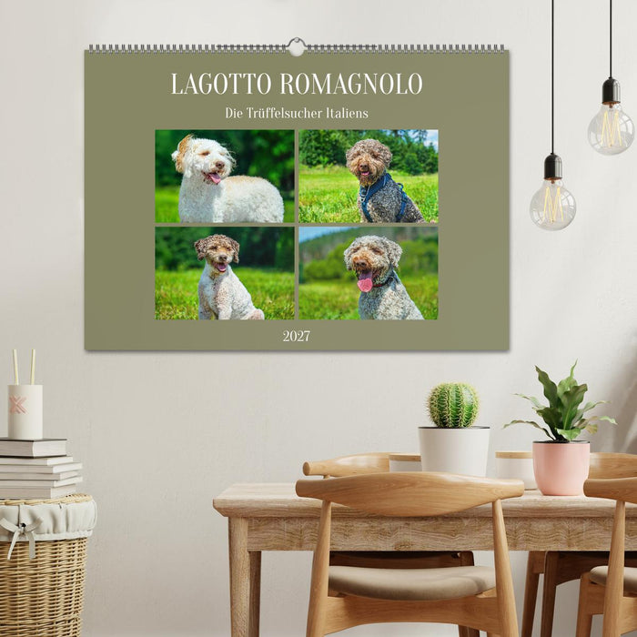 Lagotto Romagnolo - die Trüffelsucher Italiens (CALVENDO Wandkalender 2027)
