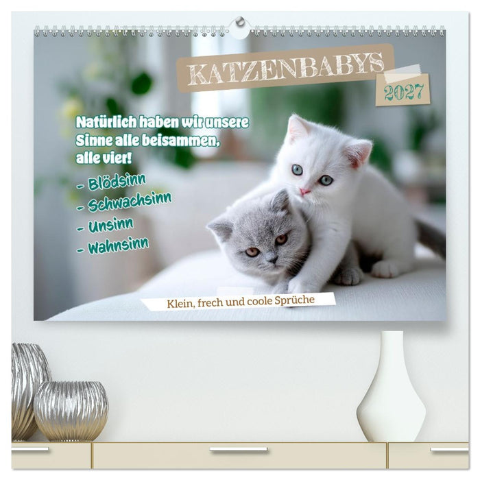 Katzenbabys - Klein, frech und coole Sprüche (CALVENDO Premium Wandkalender 2027)