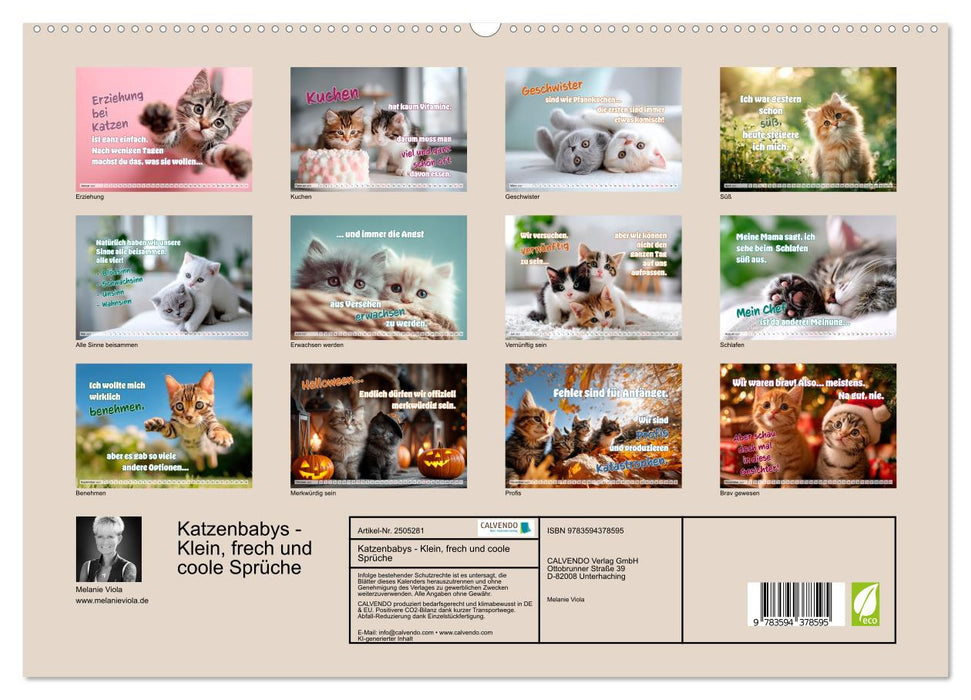Katzenbabys - Klein, frech und coole Sprüche (CALVENDO Premium Wandkalender 2027)
