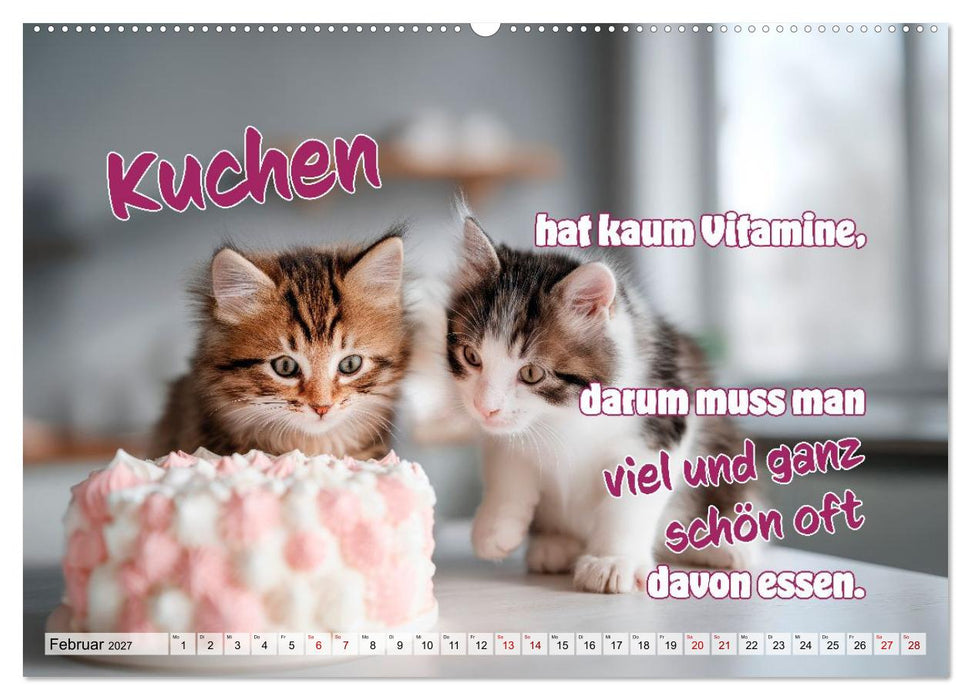 Katzenbabys - Klein, frech und coole Sprüche (CALVENDO Premium Wandkalender 2027)