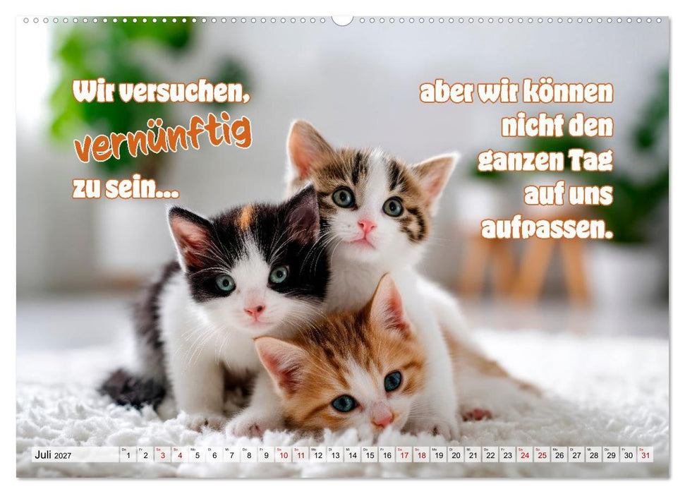 Katzenbabys - Klein, frech und coole Sprüche (CALVENDO Premium Wandkalender 2027)