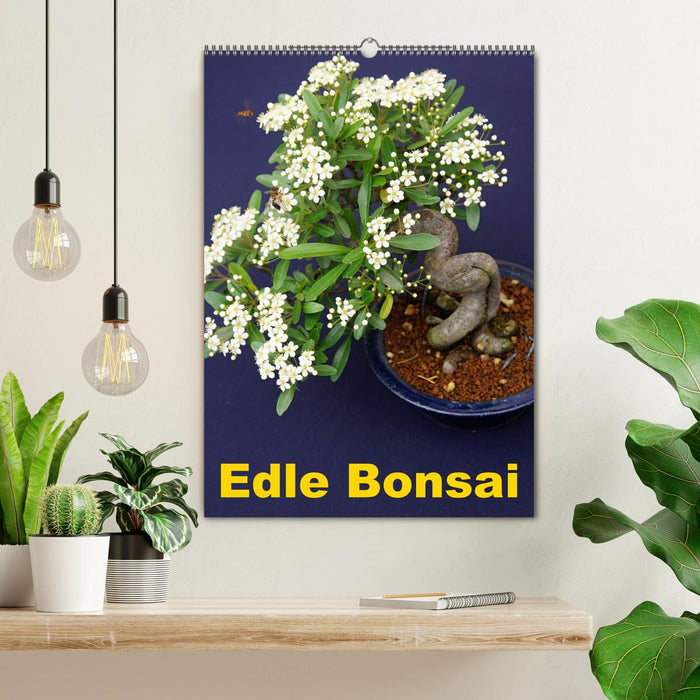 Edle Bonsai (CALVENDO Wandkalender 2027)