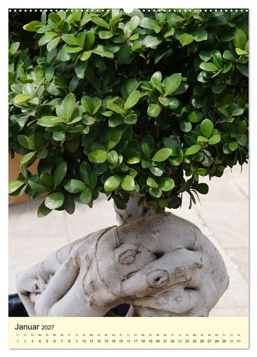 Edle Bonsai (CALVENDO Wandkalender 2027)