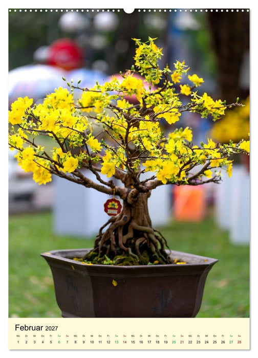 Edle Bonsai (CALVENDO Wandkalender 2027)
