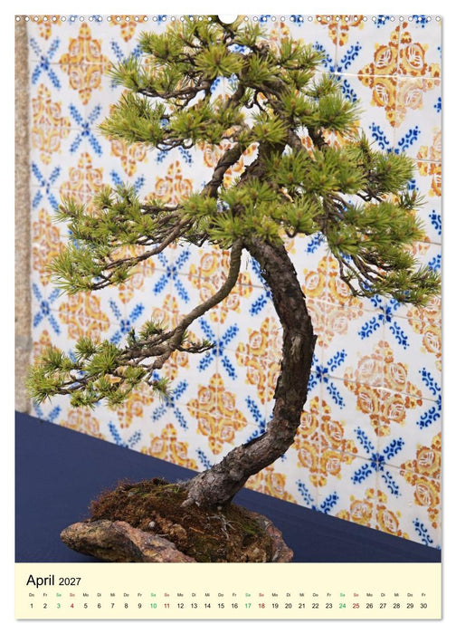 Edle Bonsai (CALVENDO Wandkalender 2027)