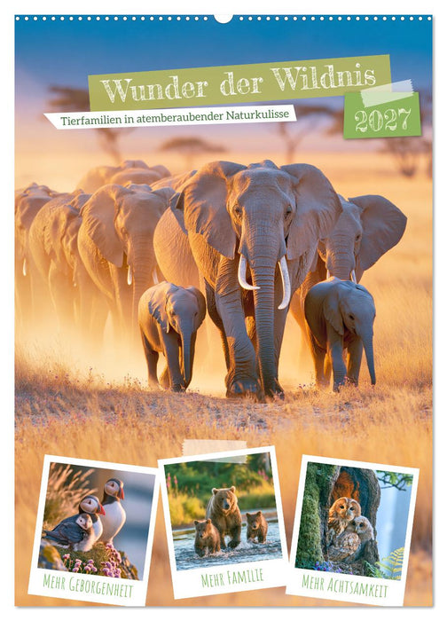 Wunder der Wildnis (CALVENDO Wandkalender 2027)
