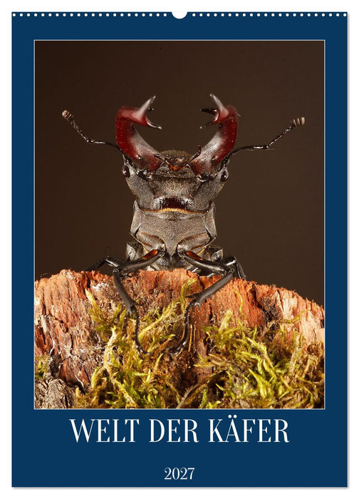 Welt der Käfer (CALVENDO Wandkalender 2027)
