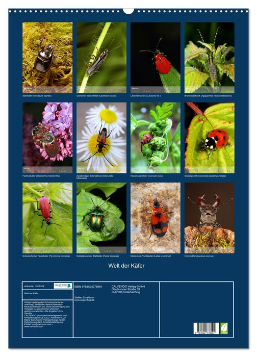 Welt der Käfer (CALVENDO Wandkalender 2027)