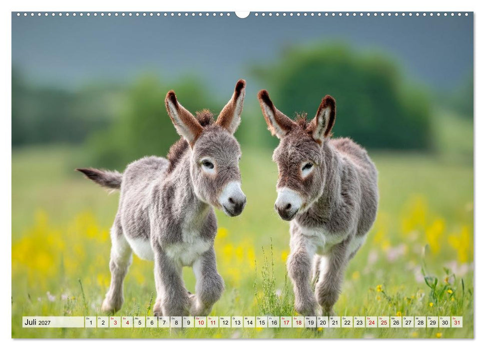 Bauernhofbabys - Tierische Lieblinge vom Land (CALVENDO Premium Wandkalender 2027)