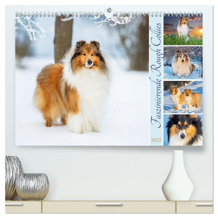 Faszinierende Rough Collies (CALVENDO Premium Wandkalender 2027)