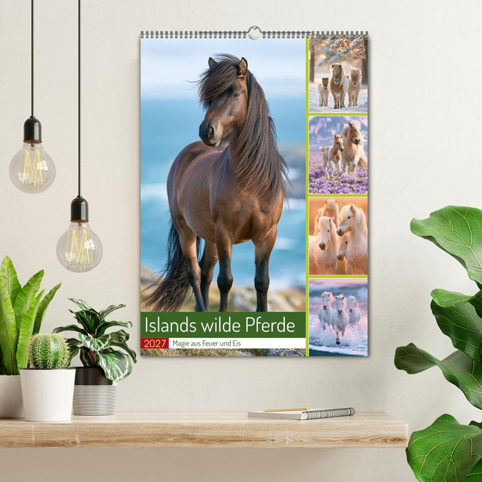 Islands wilde Pferde (CALVENDO Wandkalender 2027)