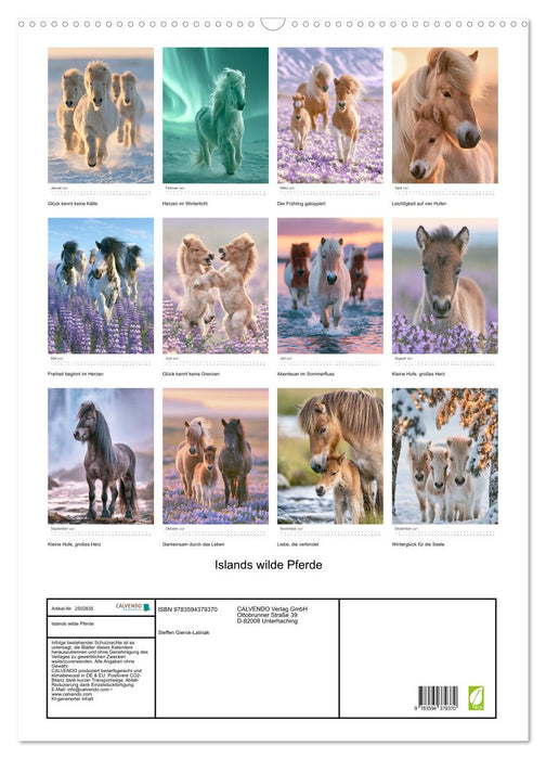 Islands wilde Pferde (CALVENDO Wandkalender 2027)