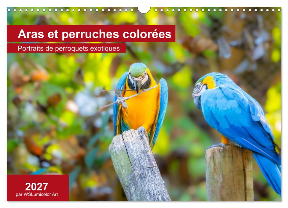 Aras et perruches colorées (CALVENDO Calendrier mensuel 2027)