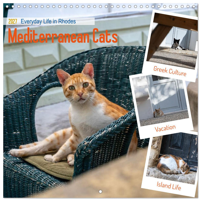 Mediterranean Cats (CALVENDO Monthly Calendar 2027)