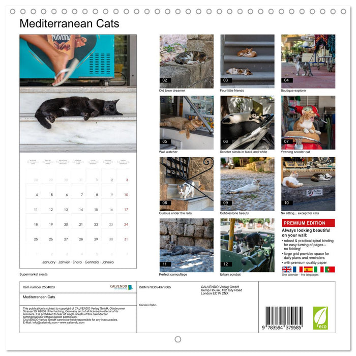 Mediterranean Cats (CALVENDO Monthly Calendar 2027)