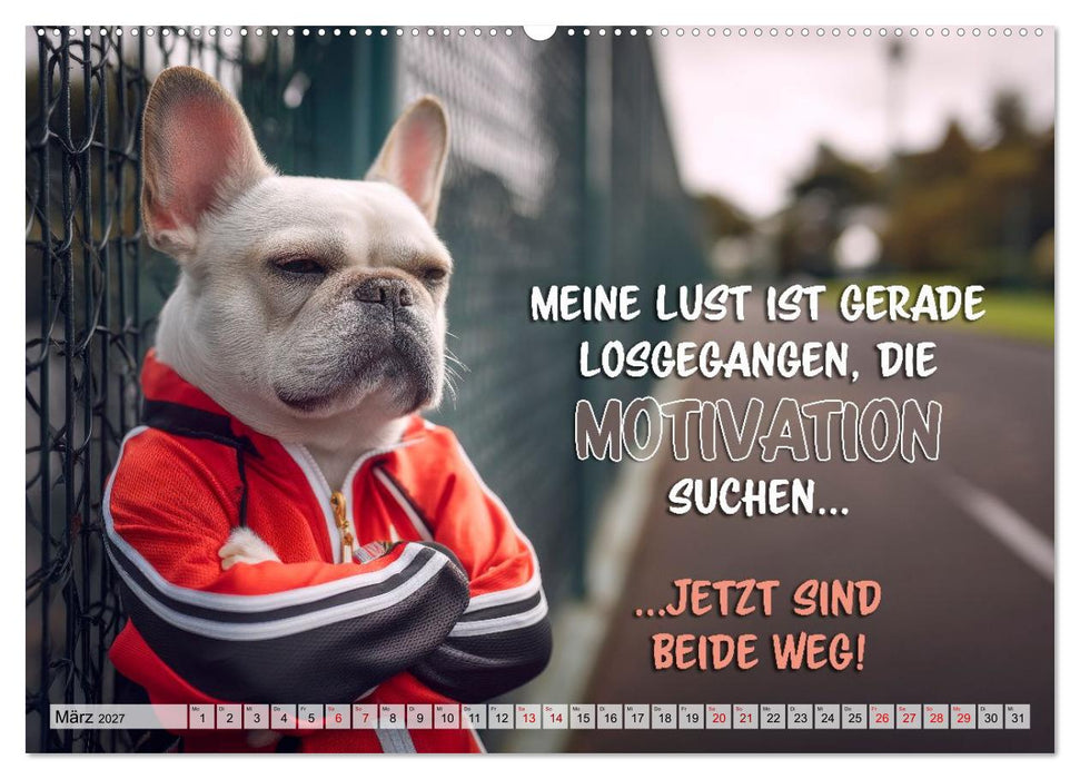 Menschlich auf vier Pfoten - Lustige Frenchies (CALVENDO Premium Wandkalender 2027)