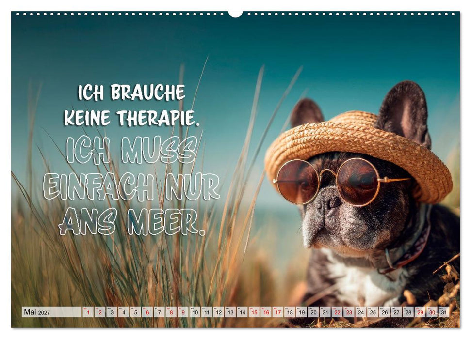 Menschlich auf vier Pfoten - Lustige Frenchies (CALVENDO Premium Wandkalender 2027)