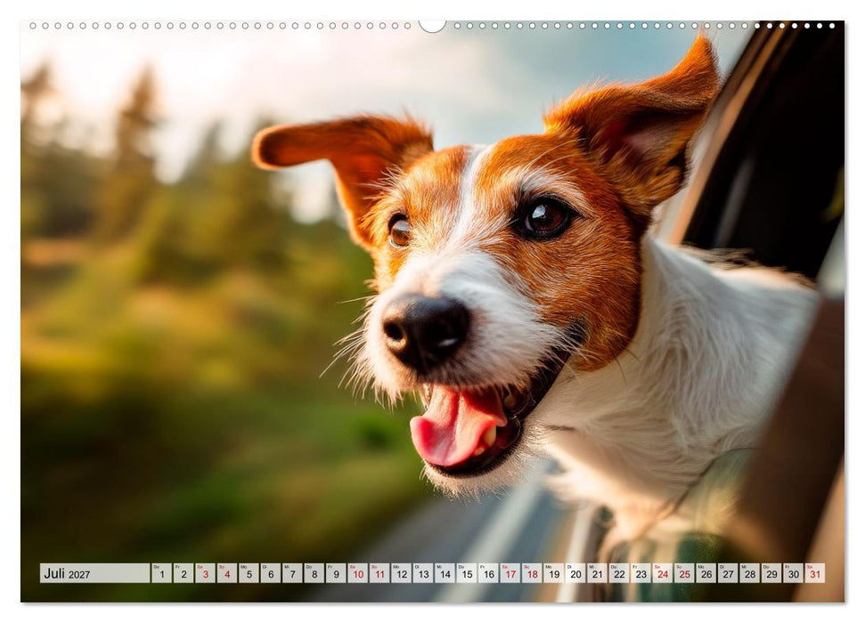 Jack Russell Terrier - Energie auf vier Pfoten (CALVENDO Premium Wandkalender 2027)