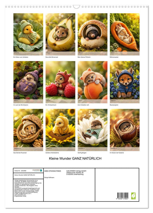 Kleine Wunder GANZ NATÜRLICH (CALVENDO Wandkalender 2027)
