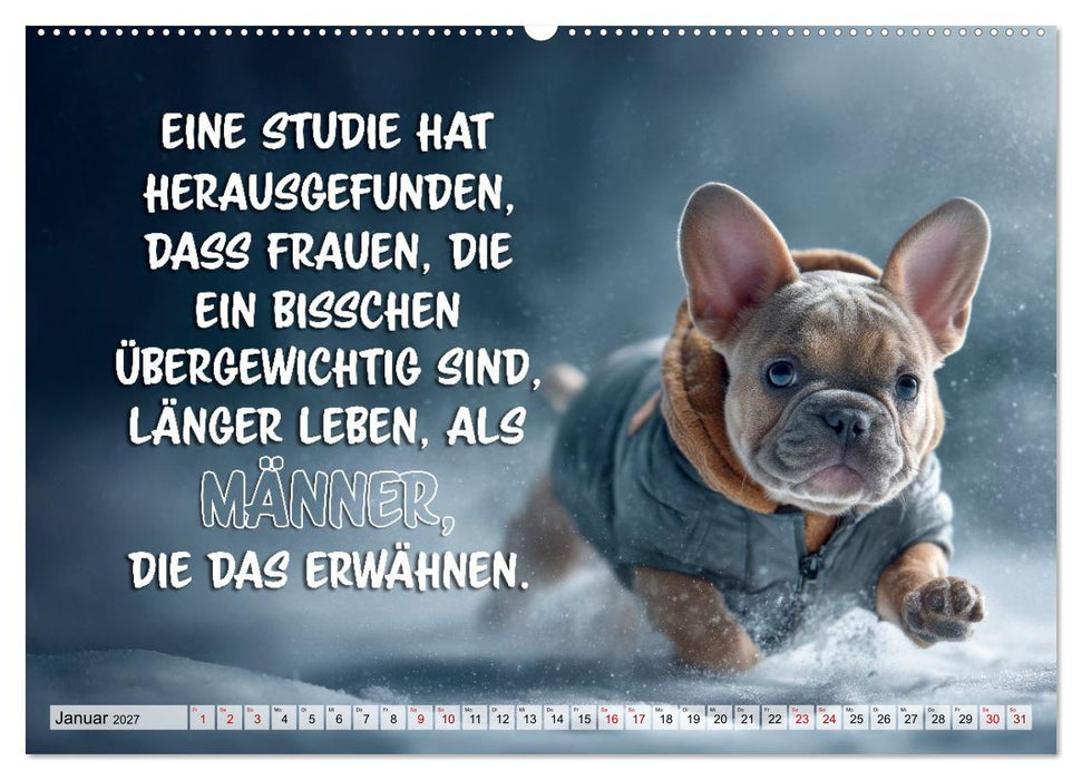 Menschlich auf vier Pfoten - Lustige Frenchies (CALVENDO Wandkalender 2027)
